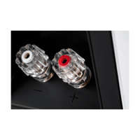 ELAC BS305 variant 9