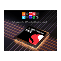 Cayin N6iii T201 variant 15