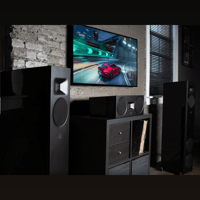 MartinLogan Motion F20 variant 22