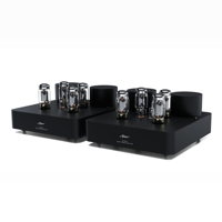 Fezz Audio Olympia Mono Power Amplifier variant 7