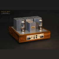 ThivanLabs EAGLE 845 H&S variant 4