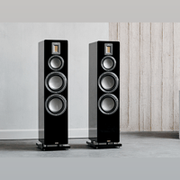 Audiovector QR 7 SE variant 5