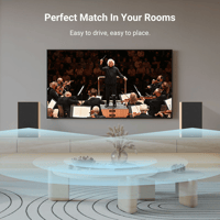 Arylic BK501/651 2 Way Bookshelf Speakers variant 6