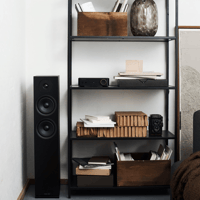 Argon Audio FORUS 55 variant 10