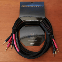 VTV Amplifier Accusound ONES Speaker Cables BFA Connectors 10 Foot variant 1