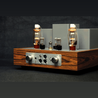 ThivanLabs MAGPIE 811 H&S variant 9