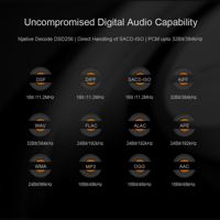 Cayin iDAP-6 variant 13