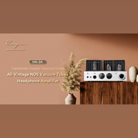 Cayin HA-2A variant 2