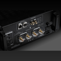 Parasound JC1+ Monoblock variant 4