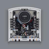 Lumin Amp variant 4