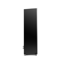 MartinLogan Motion XT F100 variant 11