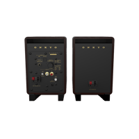 Onkyo GX-10DB 80th Anniversary variant 7