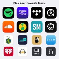 Arylic H50 Wireless Stereo Amplifier variant 8