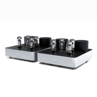 Fezz Audio Olympia Mono Power Amplifier variant 17