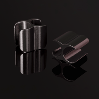 AudioQuest Brave Heart Full-Range variant 13