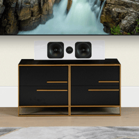 Totem Acoustic Element Wood V2 variant 9