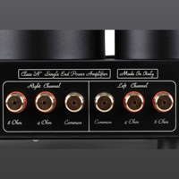 Mastersound Evo 300B variant 5