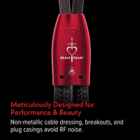 AudioQuest Brave Heart Full-Range variant 5
