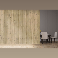 Vicoustic Flat Panel VMT variant 7