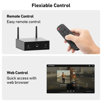 Arylic S50 Pro+ Wireless Stereo Preamp With aptX HD & ESS 9023 DAC variant 8