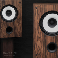 ThivanLabs Fullrange 10 – V22 variant 4