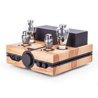 Feliks Audio Envy variant 10