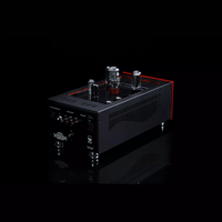 SW1x MPA II “Morpheus” Mono Power Amplifier variant 5