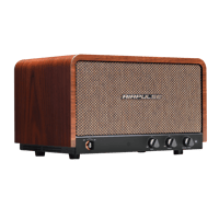 Airpulse P100X variant 2