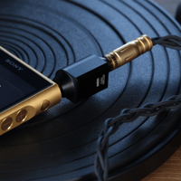 ddHiFi DJ65M 6.35mm Female to 3.5mm Male Adapter variant 2