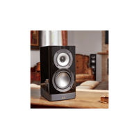 ELAC ARB51 variant 4