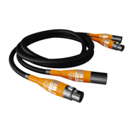 Lab 12 XLR1 variant 1