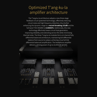 Topping A900 variant 3