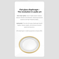 Sivga Audio Flat Glass Dynamic Diaphragm wired IEM variant 12