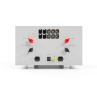 Pilium Audio Leonidas Integrated Amplifier variant 5