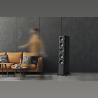 Perlisten S7t variant 2