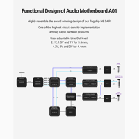 Cayin N6ii variant 5