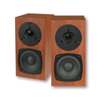 Fostex P802-S