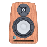 Saltwood Sounds Bookshelf Speakers variant 2