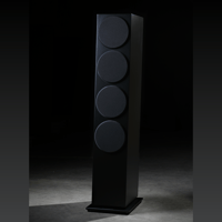 Buchardt Audio A700 LE variant 11