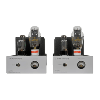 Tsakiridis Devices Achilles Ultima variant 4