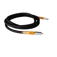 Lab 12 DIG1 variant 1