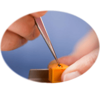 Nagaoka MP-110 variant 5