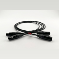 Ikigai Audio Tanoshimi variant 2