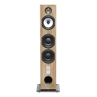 Triangle Antal Ez variant 5