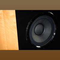 Daniel Hertz Bi-amplified M1 variant 7