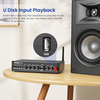 Aiyima AIYIMA A09 variant 4