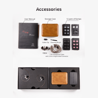 Cayin YB04 variant 10