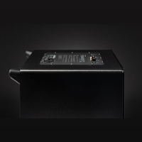 MartinLogan Dynamo Foundation 12 variant 50