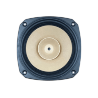 Fostex FE203Σ-RE variant 2