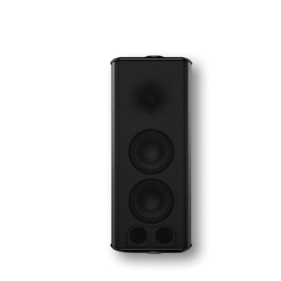 Theory Audio Design sb25aw High Output Multi-Use All-Weather Loudspeaker